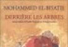 L’Egypte populaire de Mohammed El-Bisatie