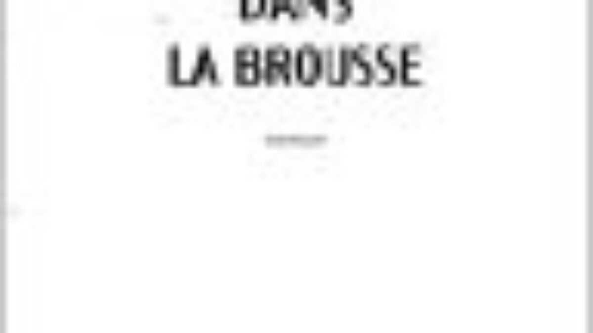 L'ivrogne dans la brousse by Amos Tutuola