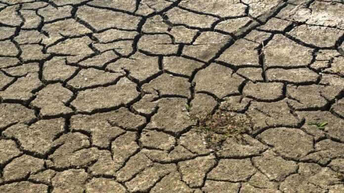 Un situation de sécheresse