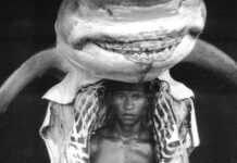 Extrait de 'Equador' par Gian Paolo Barbieri
