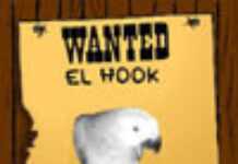 Hook le perroquet du Gabon