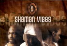 Shaman Vibes : pas sorcier mais presque Shaman Vibes