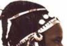 Nuits d’Afrique explore la Toile