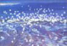 Youssouf Amine Elalamy, un drôle de poisson Youssouf Amine Elalamy, un drôle de poisson