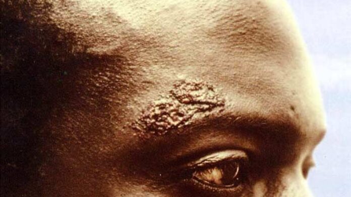 L'Afrance d'Alain Gomis