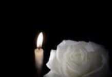 Ici on taille les démons Ici on taille les démons