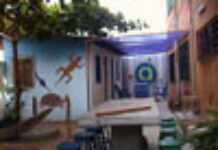 Azizart jette les artistes dans la Toile