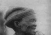 La chasse aux Bushmen La chasse aux Bushmen