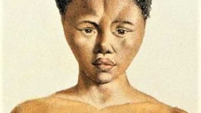 Saartjie Baartman dans Illustrations de l'Histoire Naturelle des Mammifères @wikipedia