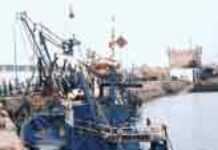 Pêche miraculeuse au Sénégal Pêche miraculeuse au Sénégal