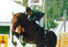 Premier Championnat d’Afrique de saut d’obstacles Premier Championnat d’Afrique de saut d’obstacles