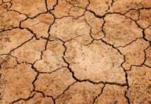 Les larmes du ciel Terre sèche et craquelée