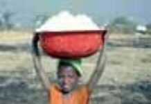 La Guinée rejoint le groupe des anti-subventions La Guinée rejoint le groupe des anti-subventions