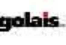 Le Togolais dans l’opposition Le Togolais dans l’opposition