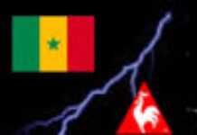 Le Coq sportif perd ses plumes au Sénégal Le Coq sportif perd ses plumes au Sénégal