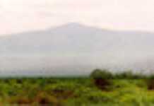 Sarah Etongué reine des montagnes