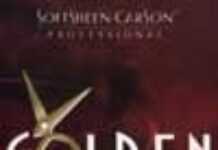 Soft Sheen Carson met la coiffure ethnique à l’honneur Soft Sheen Carson met la coiffure ethnique à l’honneur