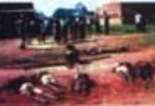 Les Pygmées victimes des soldats cannibales ! Les Pygmées victimes des soldats cannibales !