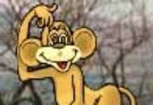 Africaquiz Jeunesse Africaquiz Jeunesse