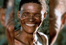 N!xau est mort N!xau