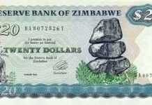 20 dollars zimbabwéens