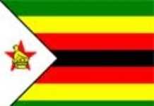 Essence en hausse libre au Zimbabwe Essence en hausse libre au Zimbabwe