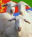 arton6721