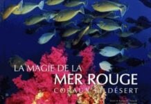 La magie de la mer rouge coraux et déserts livre