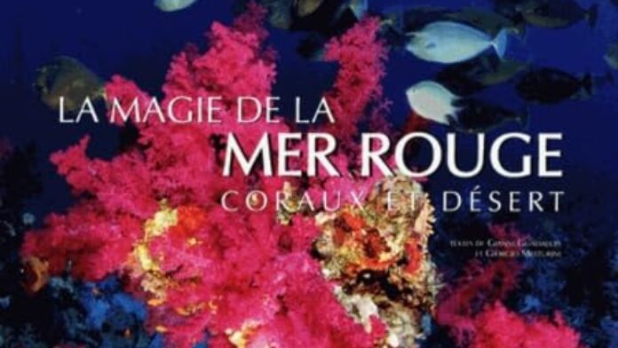 La magie de la mer rouge coraux et déserts livre