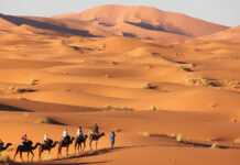 Dunes du Sahara