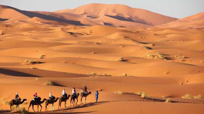 Dunes du Sahara