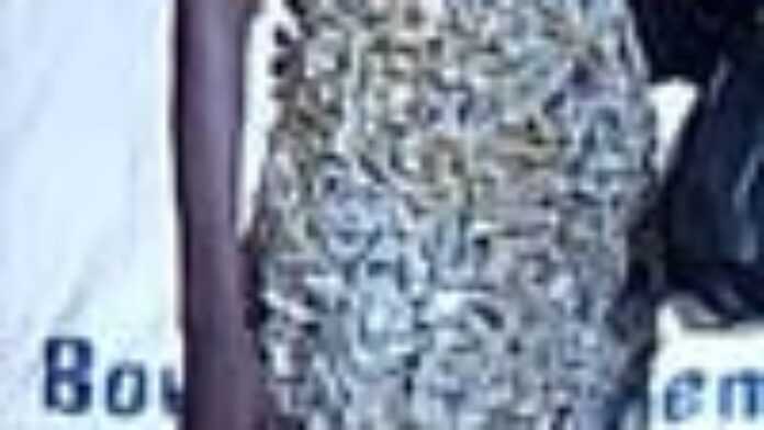 photoenlong.jpg photoenlong.jpg