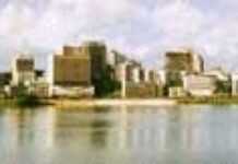 « Petit Manhattan » deviendra grand