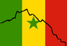 Quand les Lions plombent les affaires Quand les Lions plombent les affaires