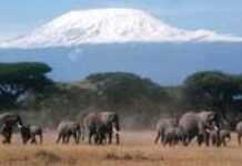 L’écotourisme, une nouvelle opportunité pour l’Afrique ?