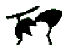 Le site du coton africain Le site du coton africain