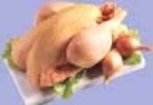 Sueurs froides pour le poulet africain Sueurs froides pour le poulet africain