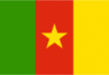 Le pont de la réunification s’effondre au Cameroun
