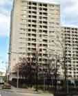 arton7510