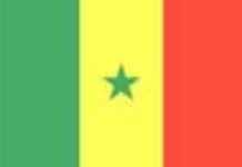 Sénégal : pour ou contre les commerçants chinois ?
