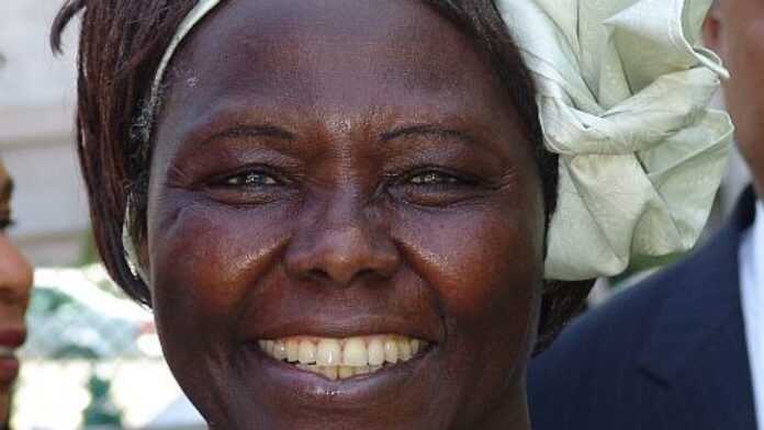 Wangari Maathai