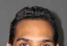 Al Walser : « Je veux construire un pont entre l’Afrique et le monde » Al Walser : « Je veux construire un pont entre l’Afrique et le monde »