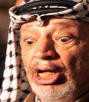 yasser.jpg yasser.jpg