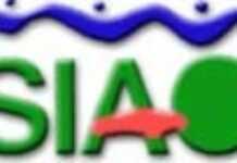 Siao 2004 : le professionnalisme et la fête Siao 2004 : le professionnalisme et la fête