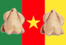 Cameroun : coup de froid sur les importations de poulet congelé Cameroun : coup de froid sur les importations de poulet congelé