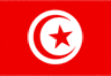 Mondial de handball : La Tunisie en demi-finale