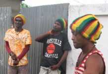 Black Spirit Melody : la référence du reggae congolais pluma.jpg