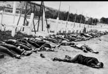Massacre de Setif