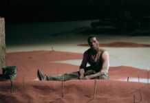 Lars Von Trier, ses acteurs, et l’esclavage Manderlay1.jpg