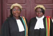 Prix et récompenses au festival de Cannes Sisters in Law